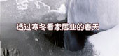 透過寒冬看家居業(yè)的春天